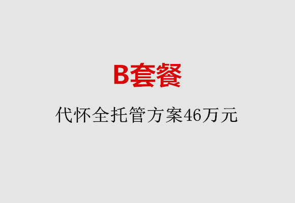 杭州B套餐：代怀全托管方案46万元